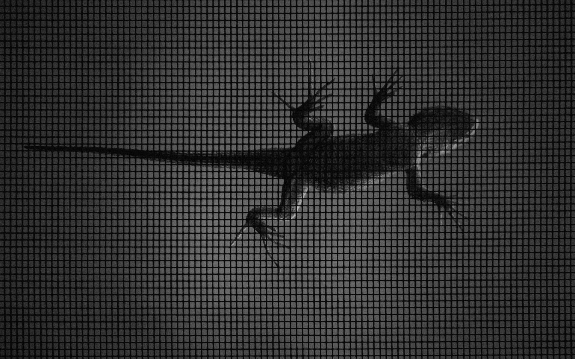 Untold story of ‘technical debt’ every founder should hear