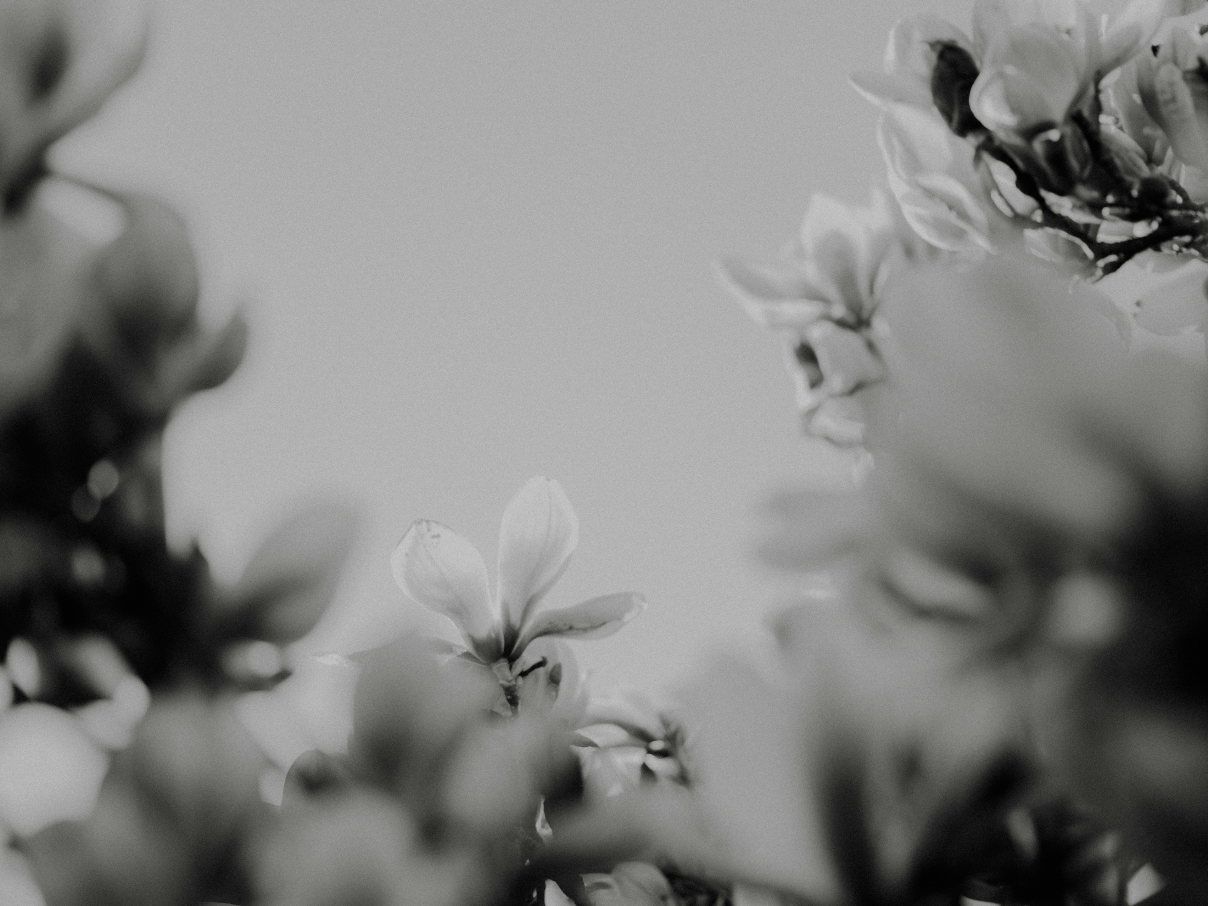 Growing revenue and hiring: How Ukrainian startup Awesomic survives war